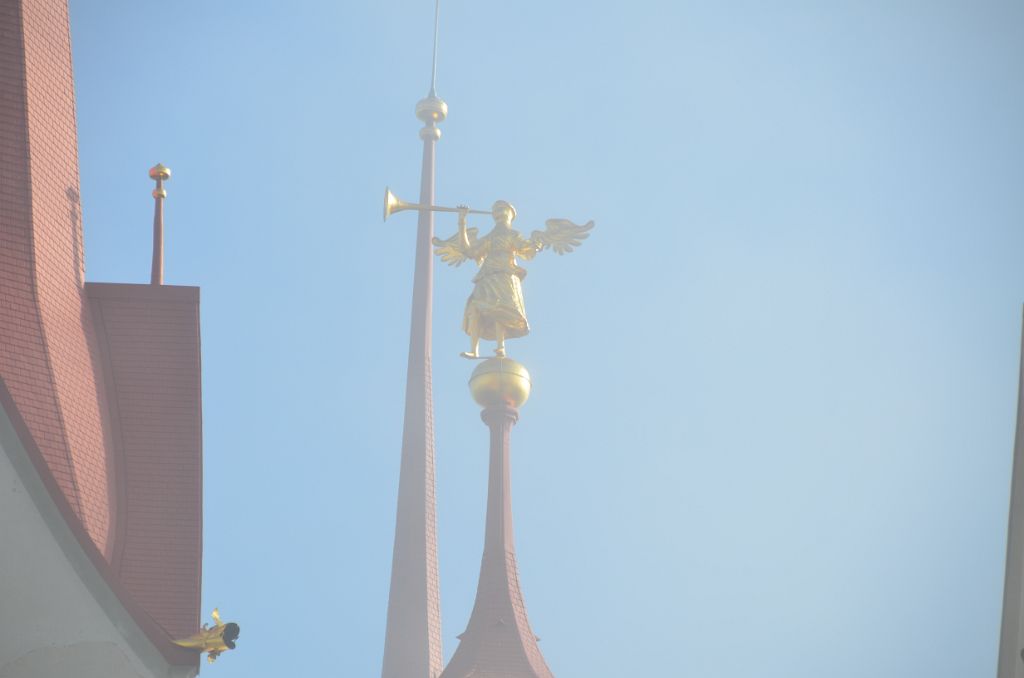 DSC_8354.JPG
