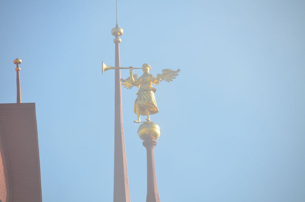 DSC_8355.JPG